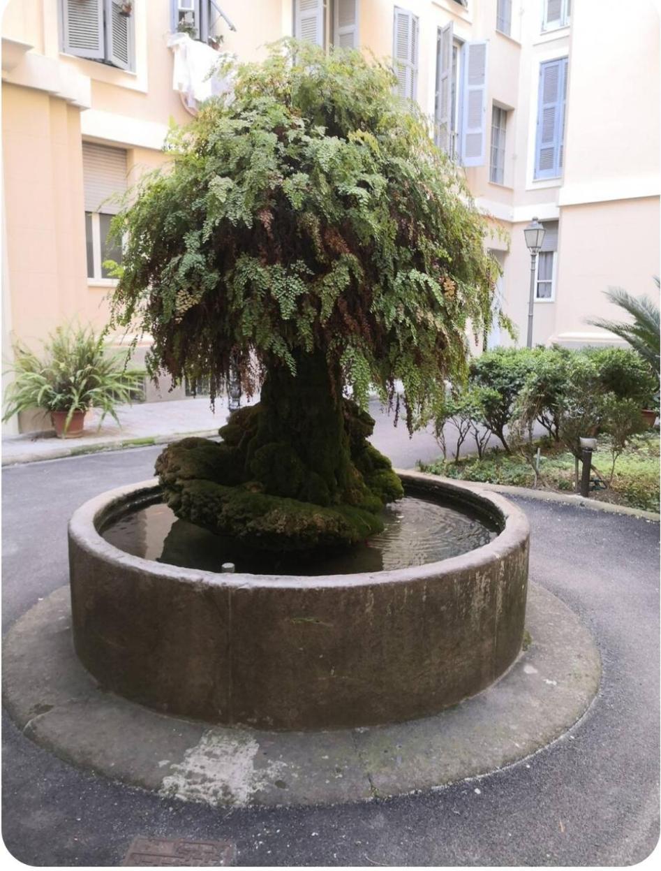 Unconventional Stay Rome Extérieur photo